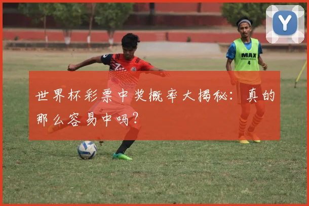 世界杯彩票中奖概率大揭秘：真的那么容易中吗？
