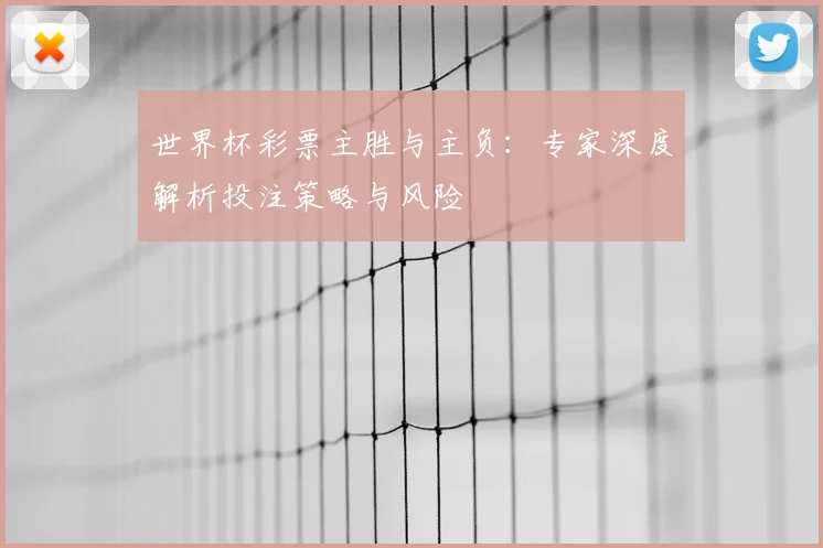 世界杯彩票主胜与主负：专家深度解析投注策略与风险
