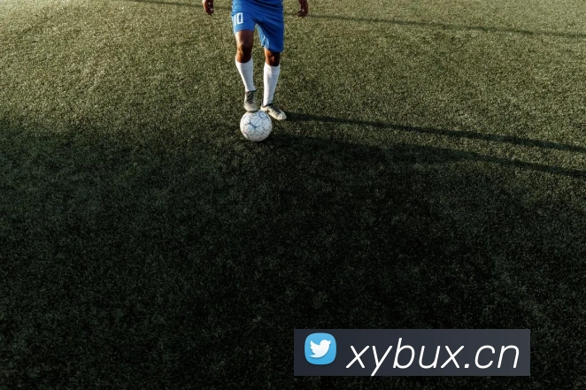 乐鱼网页版官网入口APP 封面图