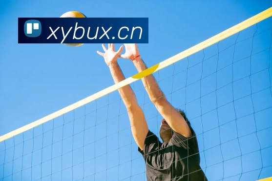 数据防护可视化